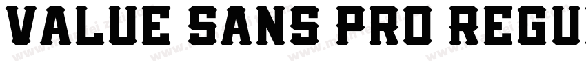 Value Sans Pro Regul字体转换